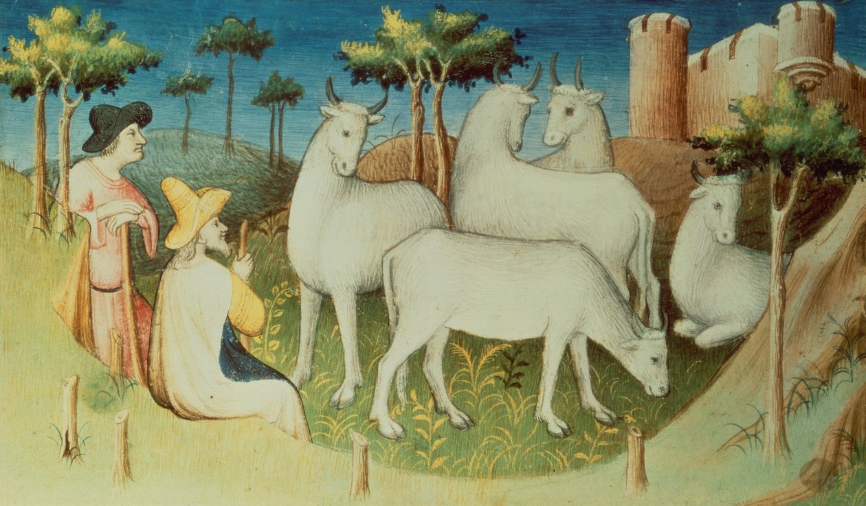 Ms Fr 2810 f.13v, Marco Polo utazásain, a „Világcsodák könyvéből”, 1410-12 körül (tempera pergamen) alkotó: Boucicaut Master