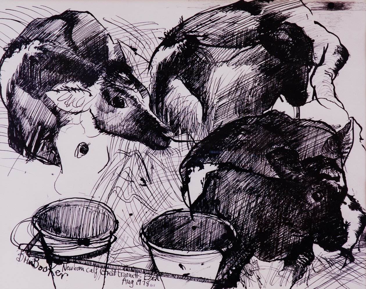 Borjak, nedves, újszülött, 1978 alkotó: Brenda Brin Booker