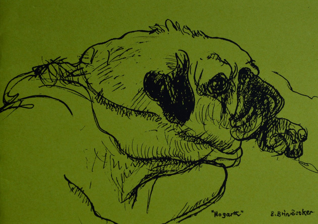 "Hogarth" (tinta zöld papíron) alkotó: Brenda Brin Booker
