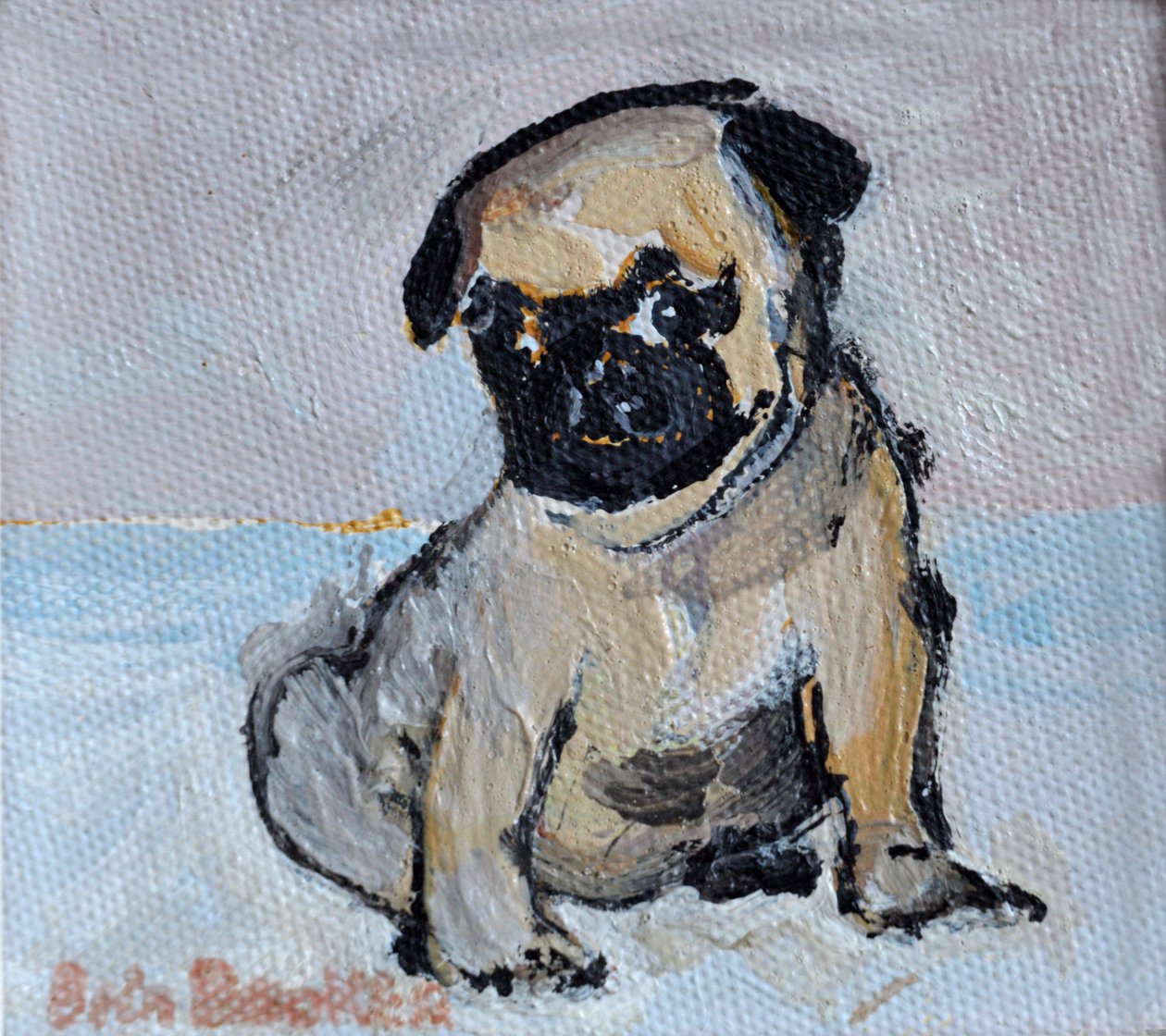 Vincent, a mopsz kiskutya alkotó: Brenda Brin Booker