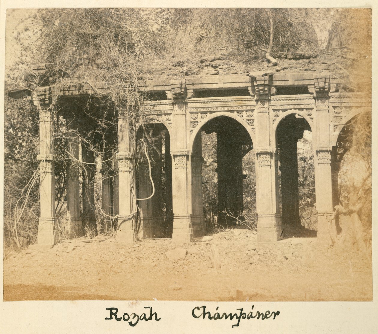 Rozah, Champaner, 1875 körül (f/w fotó) alkotó: British Photographer
