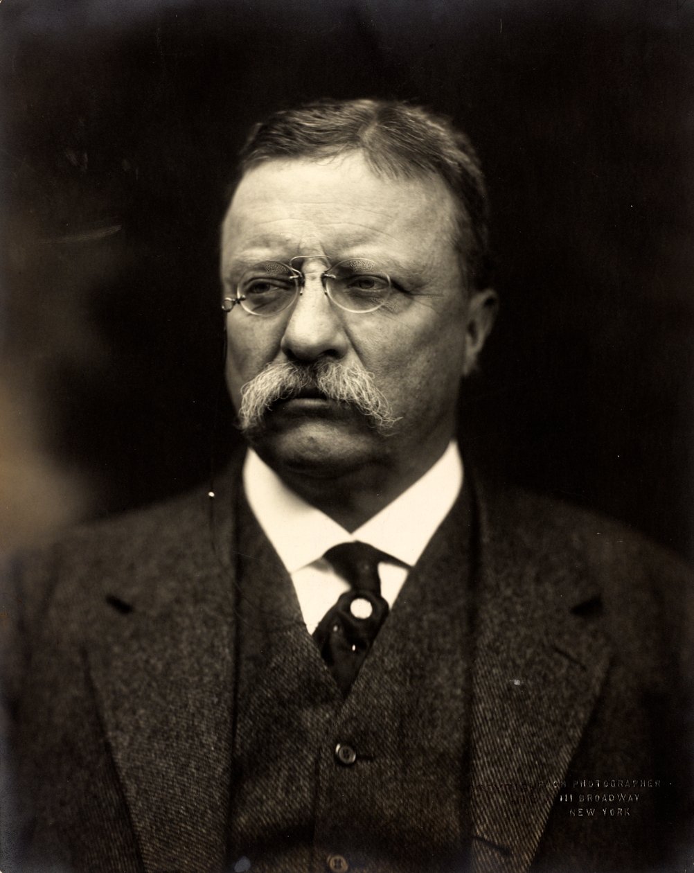 Theodore Roosevelt, 1915 körül (f/w fotó) alkotó: Brothers Pach