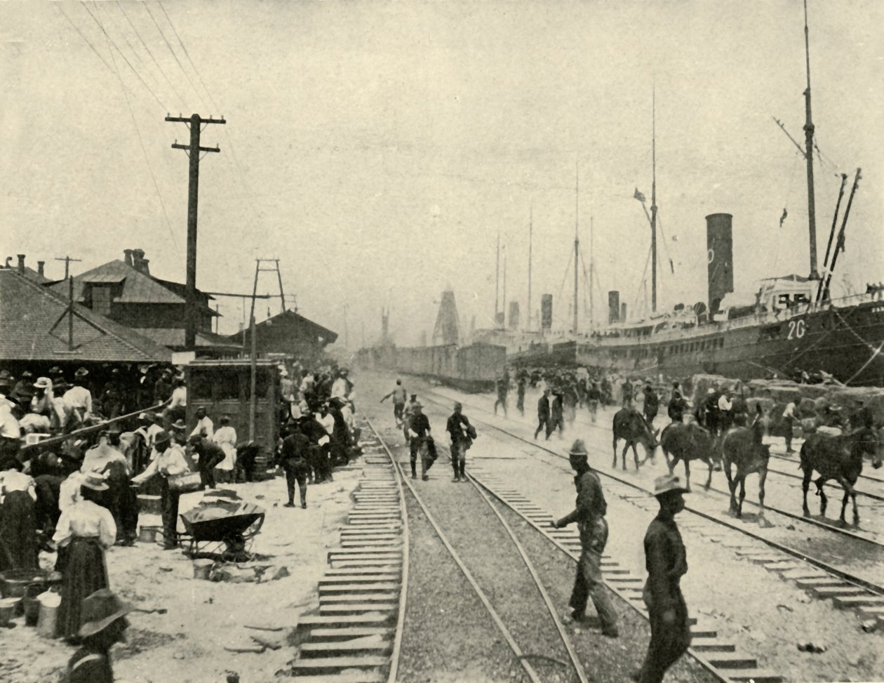 Elengedett rabok, spanyol-amerikai háború, 1898. június, 1899. alkotó: Burr McIntosh