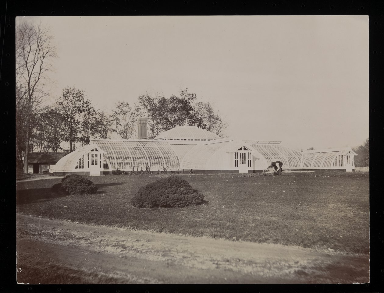 Üvegház a John Jacob Astor birtokon, Rhinecliffben, N.Y., 1893-94 (ezüst zselatin nyomat) alkotó: Byron Company