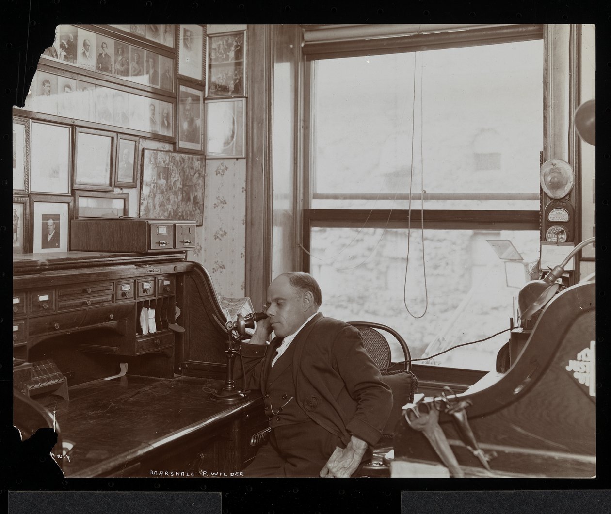 Marshall P. Wilder telefonon az irodájában, 1898-99 (ezüst zselatin nyomat) alkotó: Byron Company