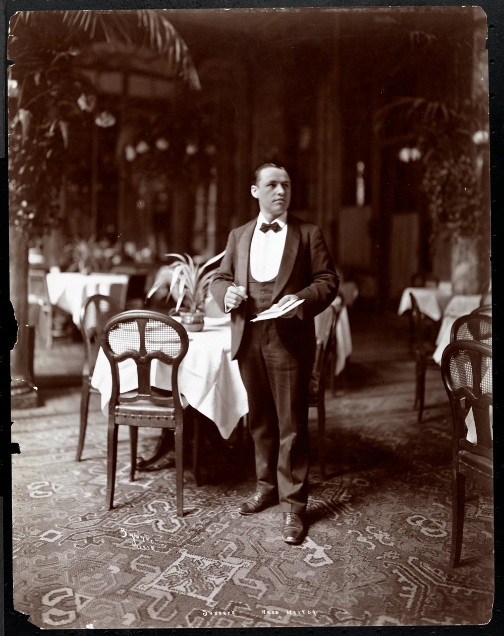 A főpincér a Sherry