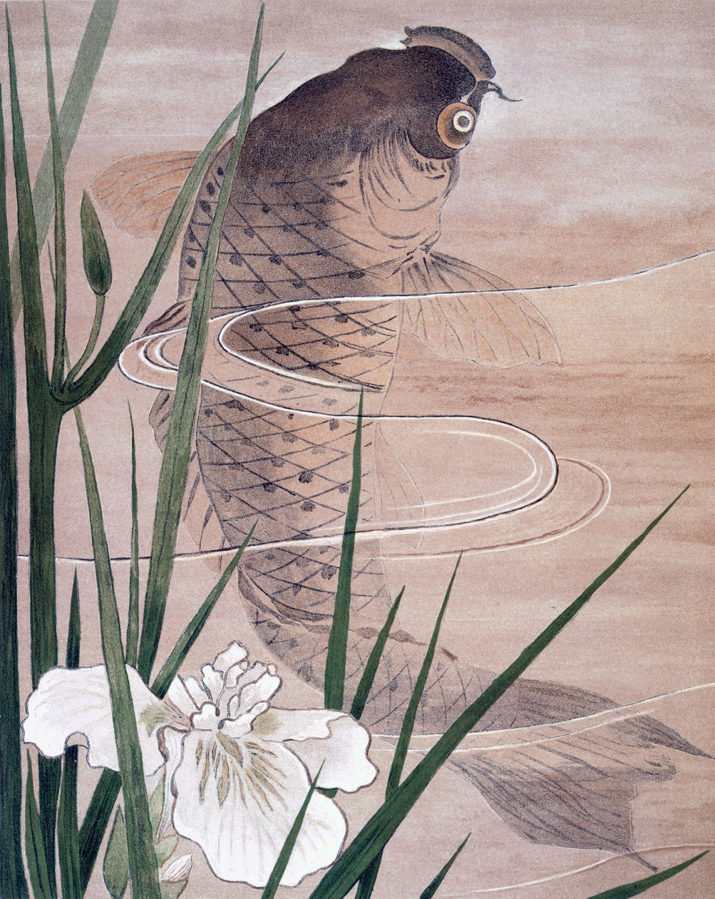 Halak alkotó: C. F. Kell