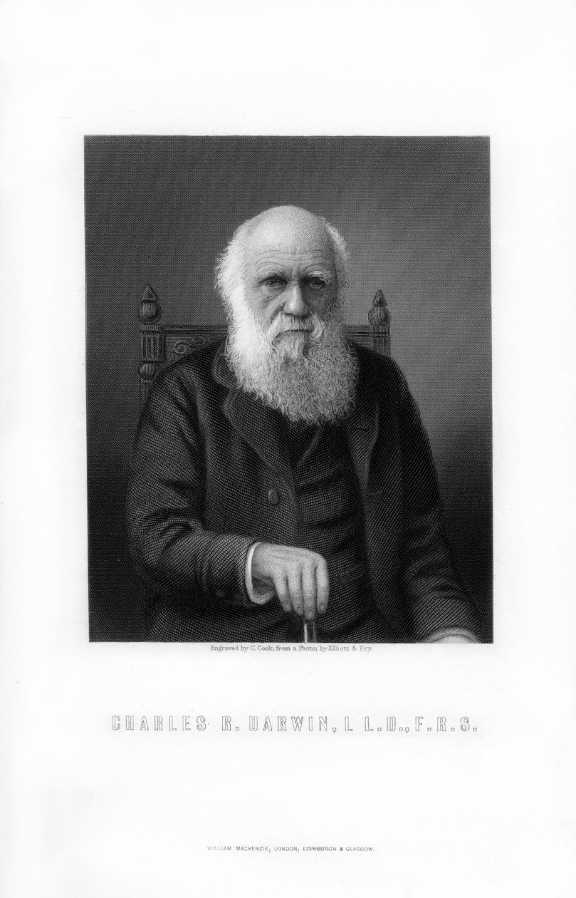 Charles Darwin brit természettudós, 1899. alkotó: C. Cook