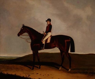A Bay versenyló alkotó: C. Markham