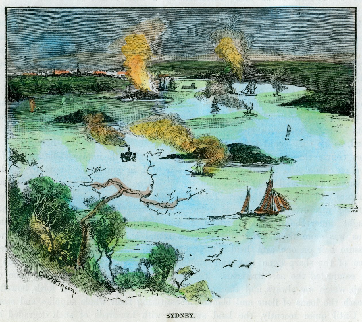 Sydney, Új-Dél-Wales, Ausztrália, 1885. alkotó: C. Wilkinson