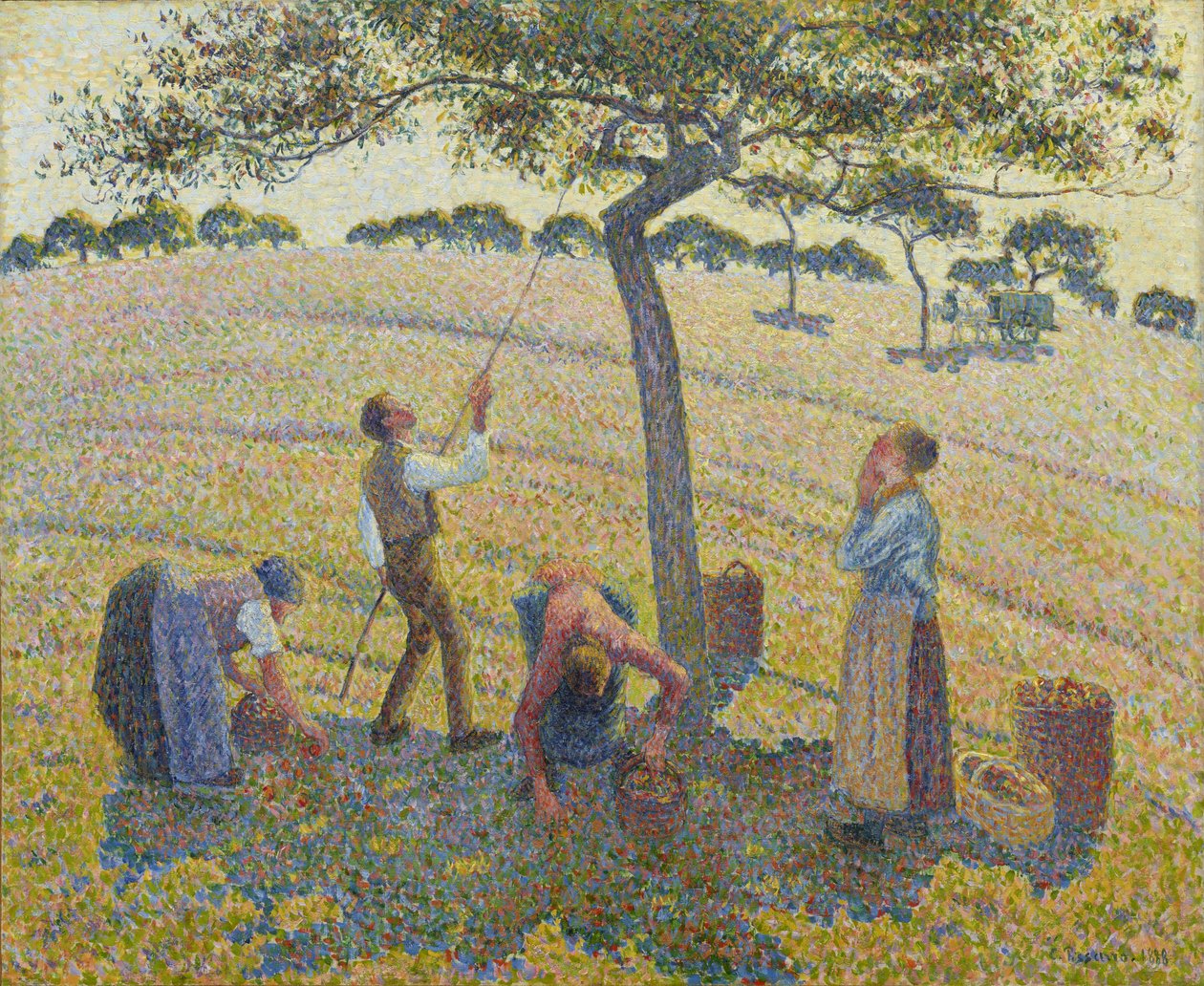 Apple Harvest alkotó: Camille Jacob Pissarro