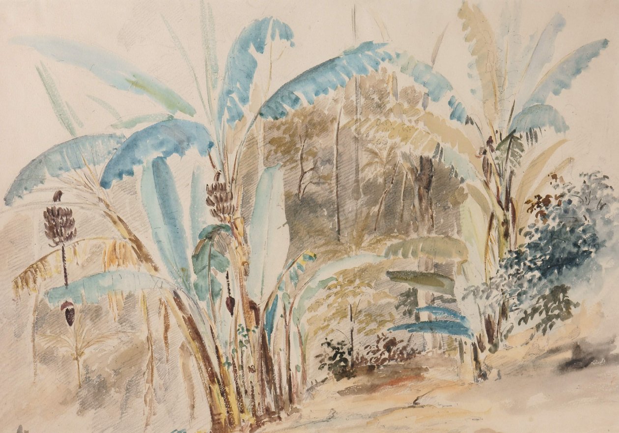 Banán fák alkotó: Camille Jacob Pissarro