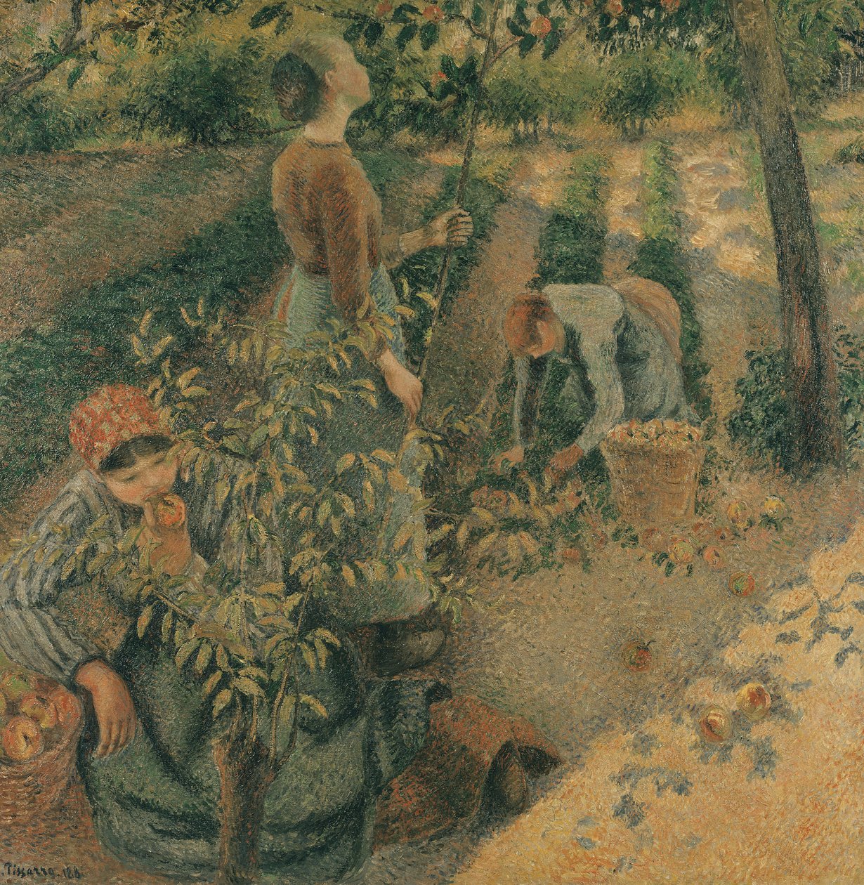 Az Apple Pickers, 1886 alkotó: Camille Jacob Pissarro