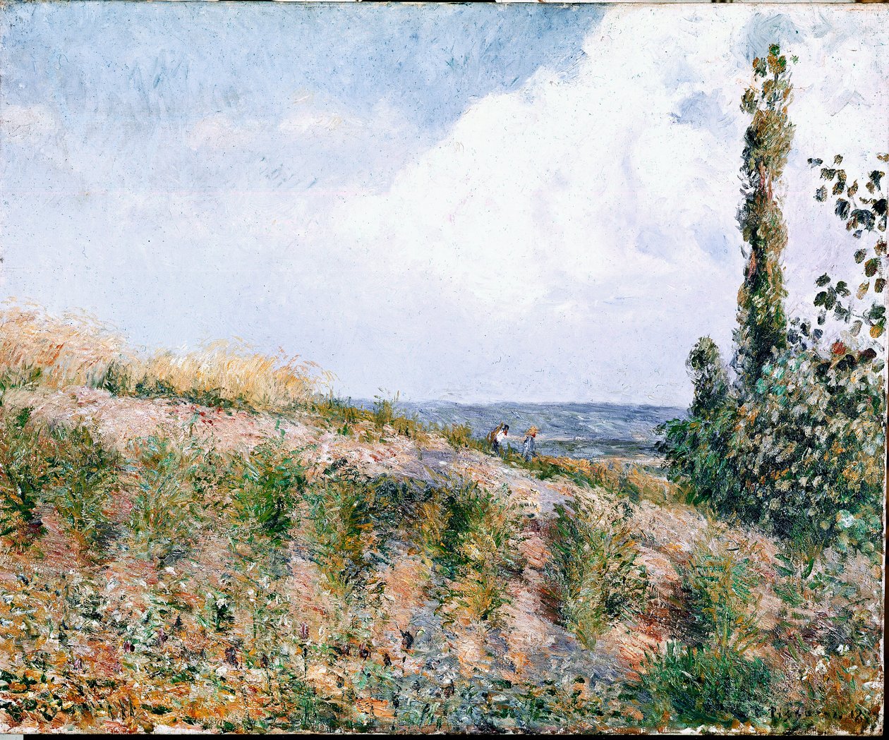 Táj (olaj, vászon) alkotó: Camille Jacob Pissarro