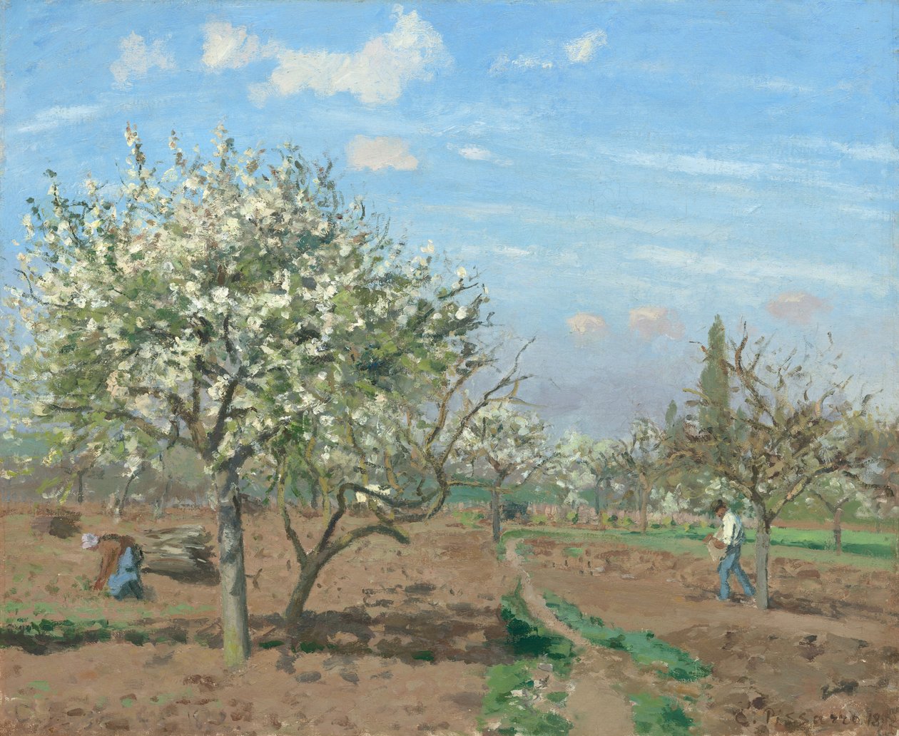 Gyümölcsöskert Bloomban, Louveciennes-ben alkotó: Camille Pissarro