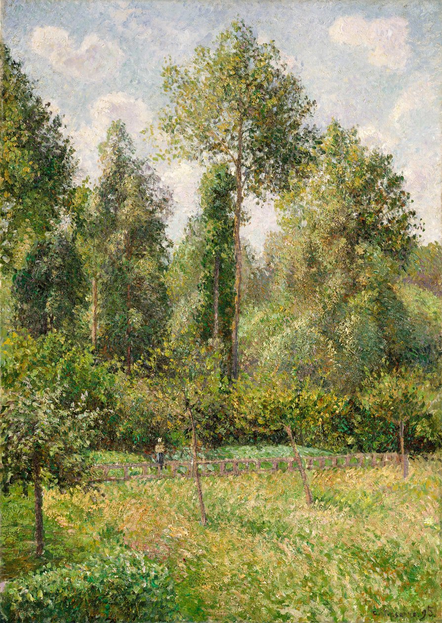 Nyárfák, Éragny, 1895. alkotó: Camille Jacob Pissarro