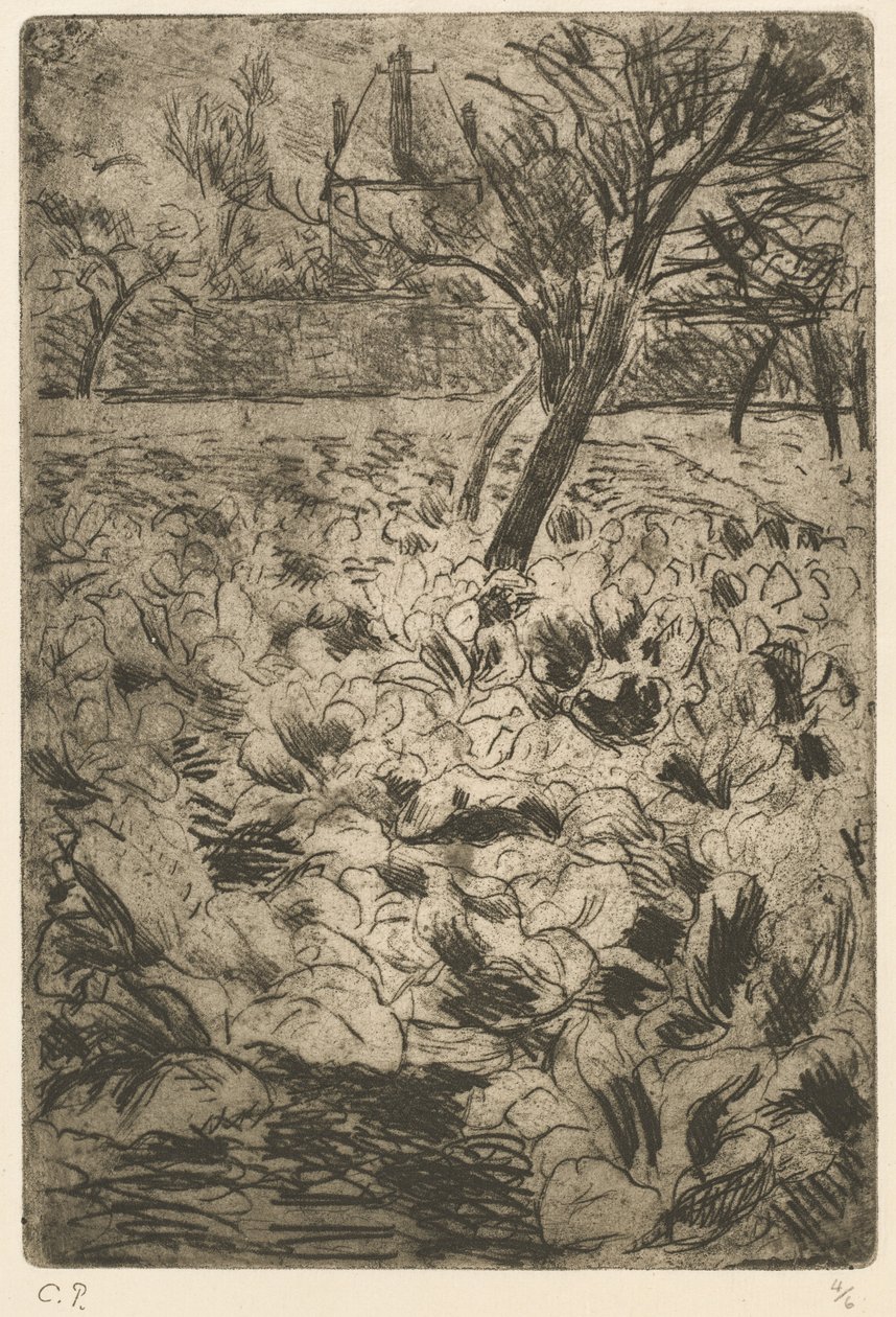 A káposztaföld alkotó: Camille Pissarro