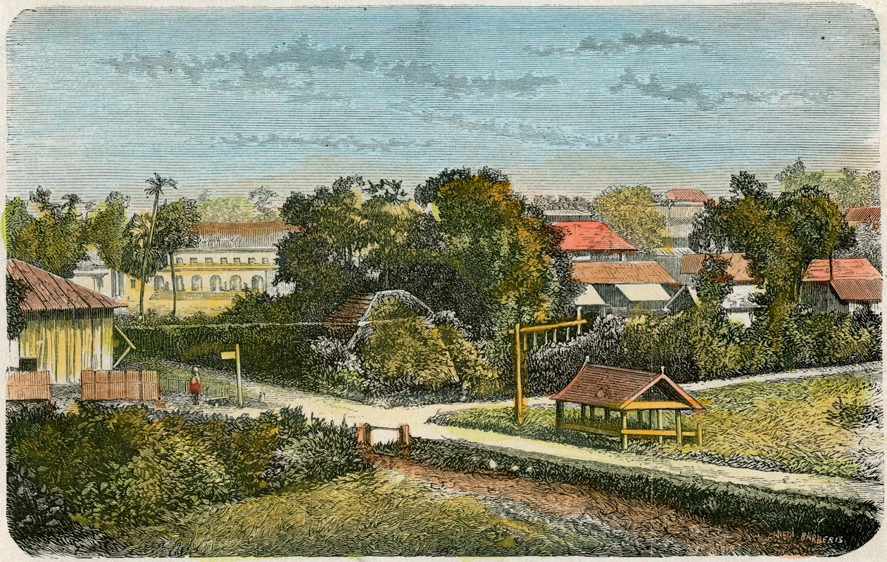 Tonga, 1885 alkotó: Canedi Barberis