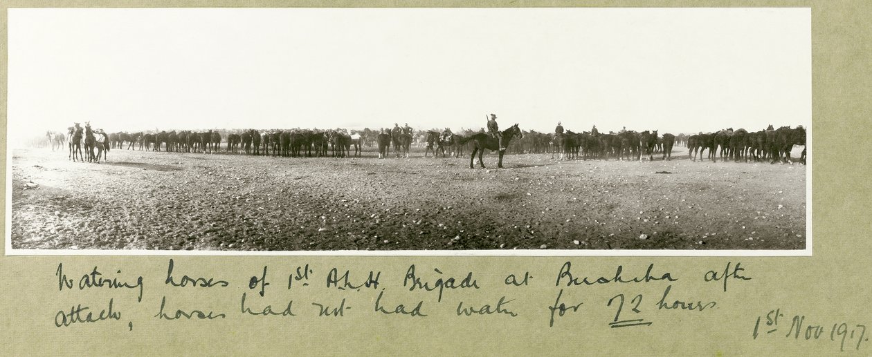 Itató lovak 1. A.L.H. A beersebai brigád támadás után, a lovaknak 72 órája nem volt víz, 1917. november 1. alkotó: Capt. Arthur Rhodes
