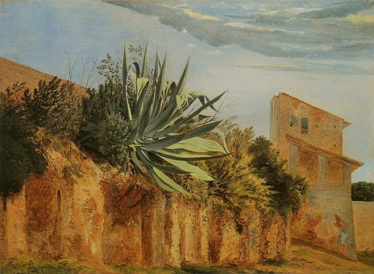 Róma városfalán Francais: Agave sur un mur de Romen alkotó: Carl Wagner