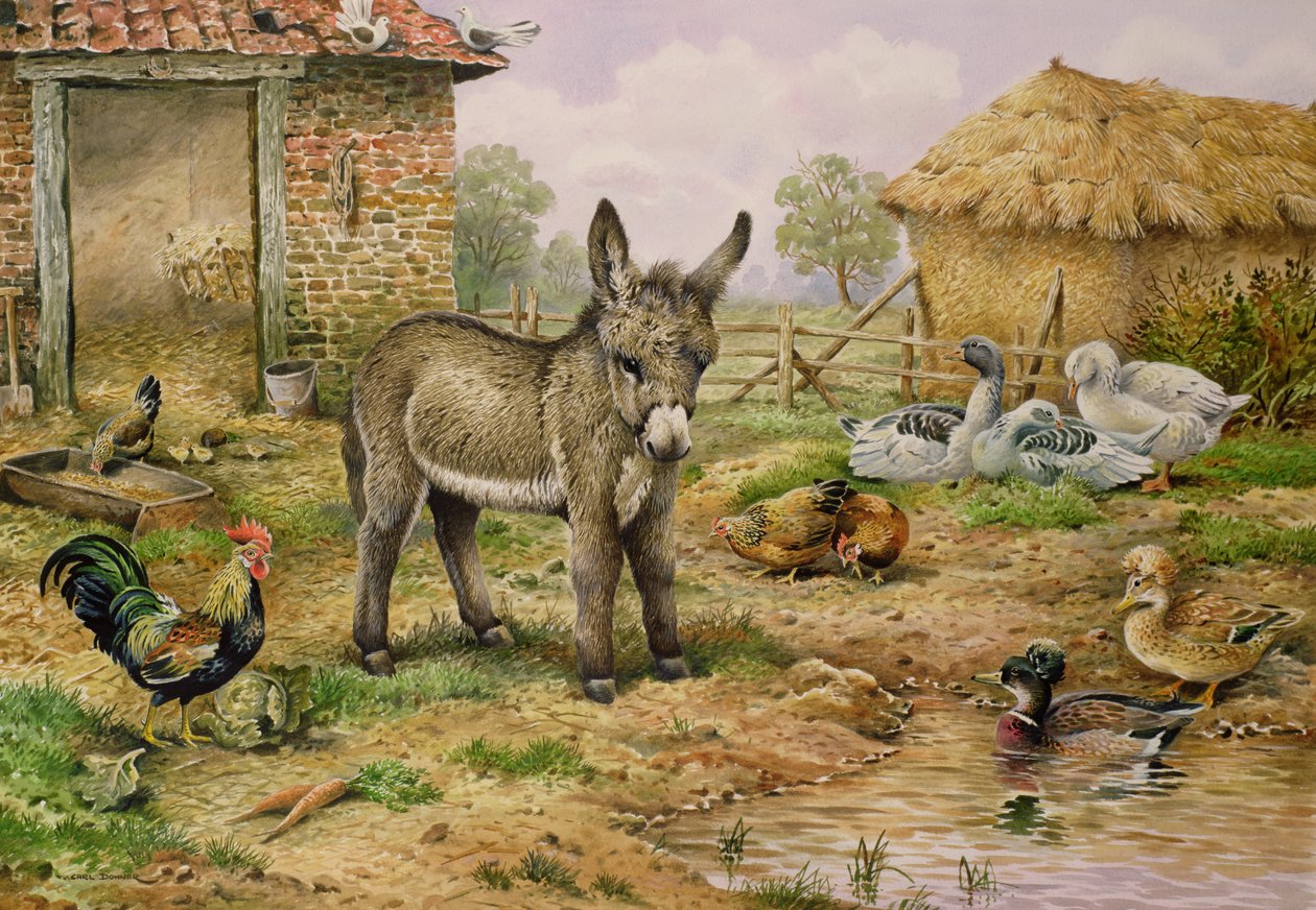 Szamár és tanyasi szárnyas alkotó: Carl Donner
