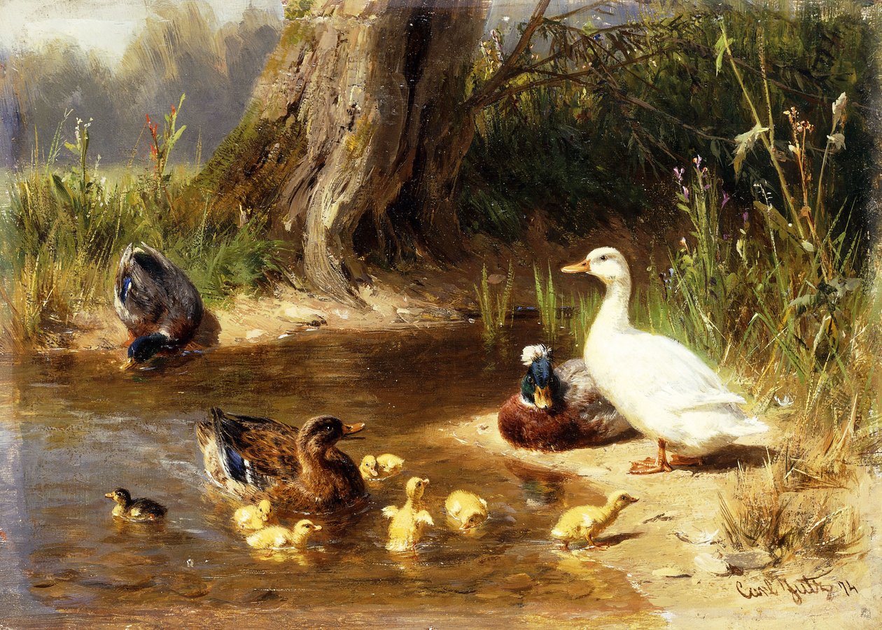 Kacsák a víz szélén, 1874 alkotó: Carl Jutz