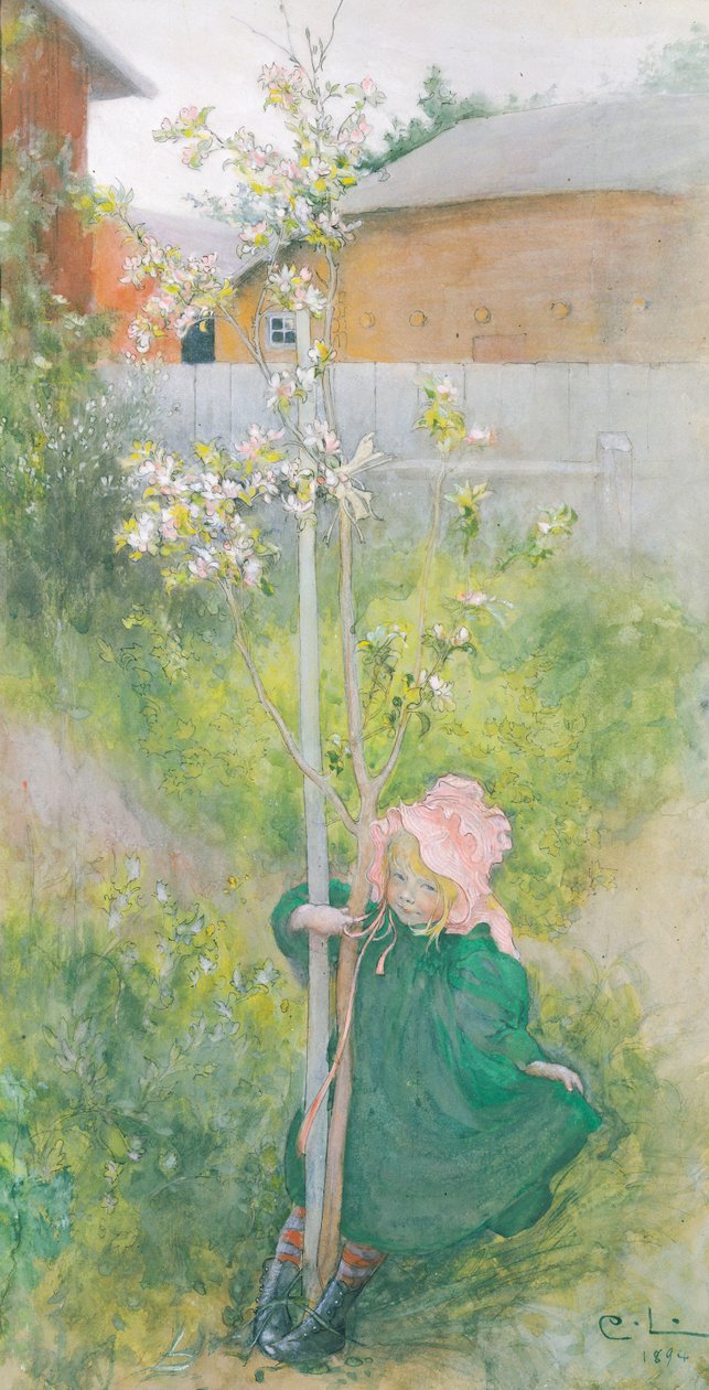 Almavirág, 1894 alkotó: Carl Larsson