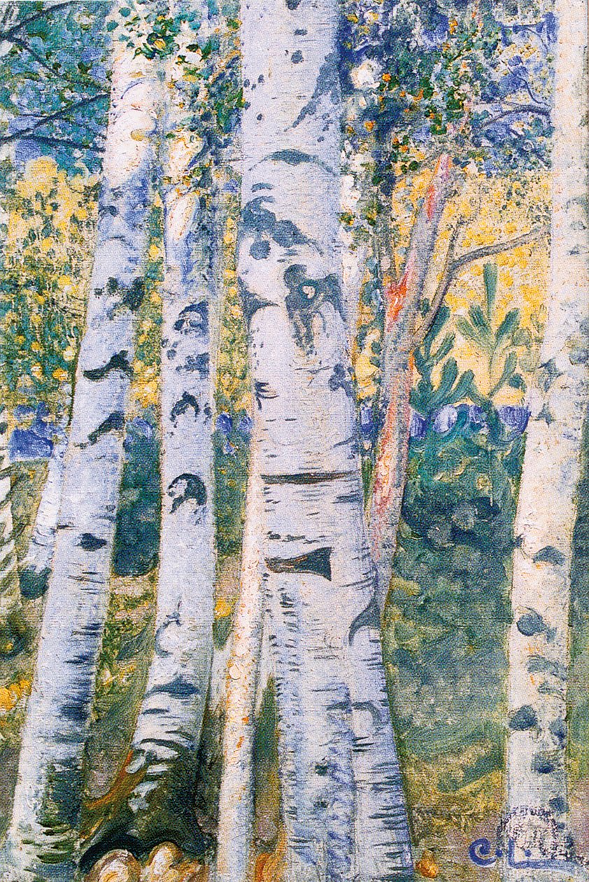 Nyírfák, 1910 alkotó: Carl Larsson