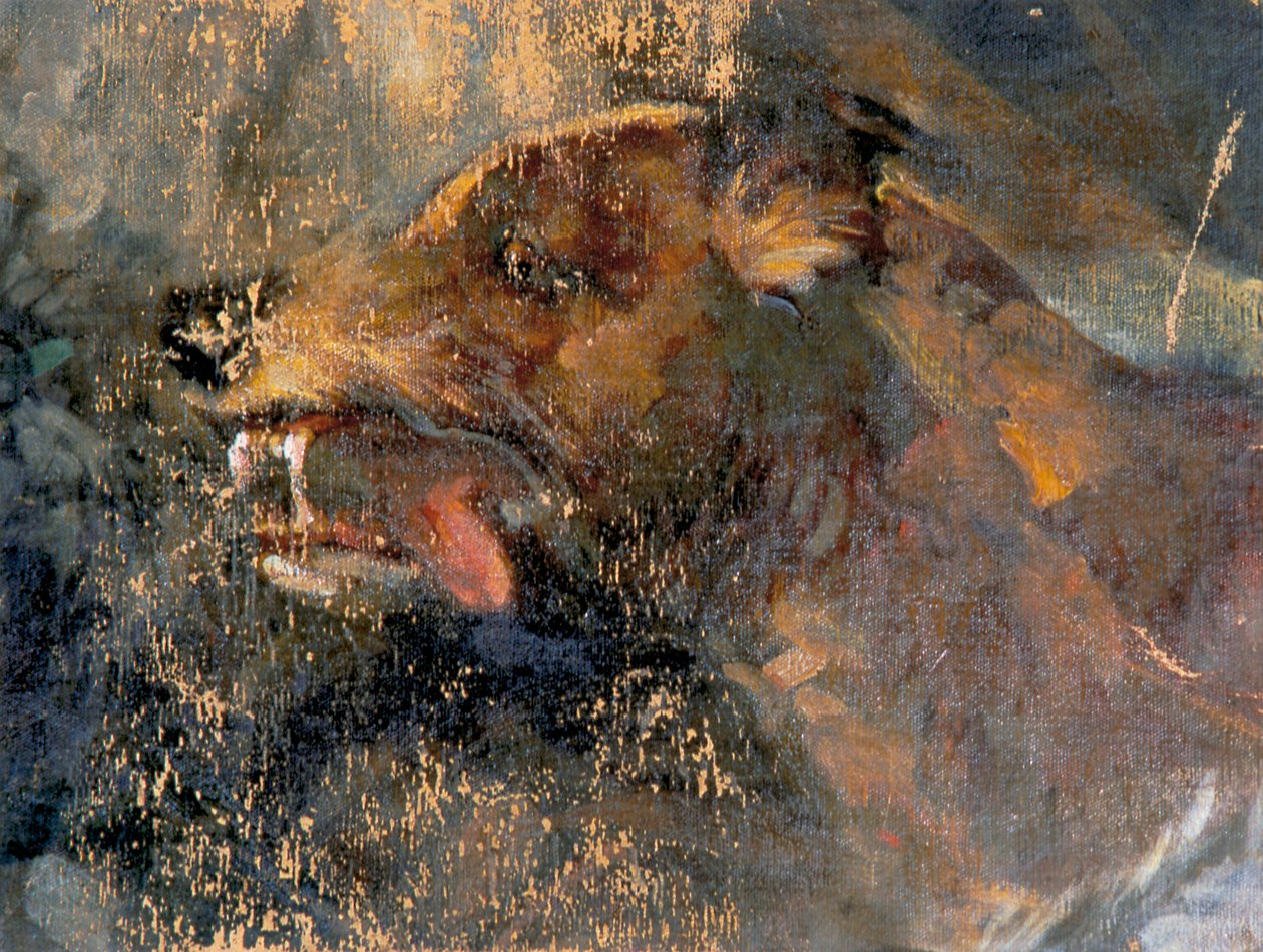 kutya fejét alkotó: Carl Rudolf Huber