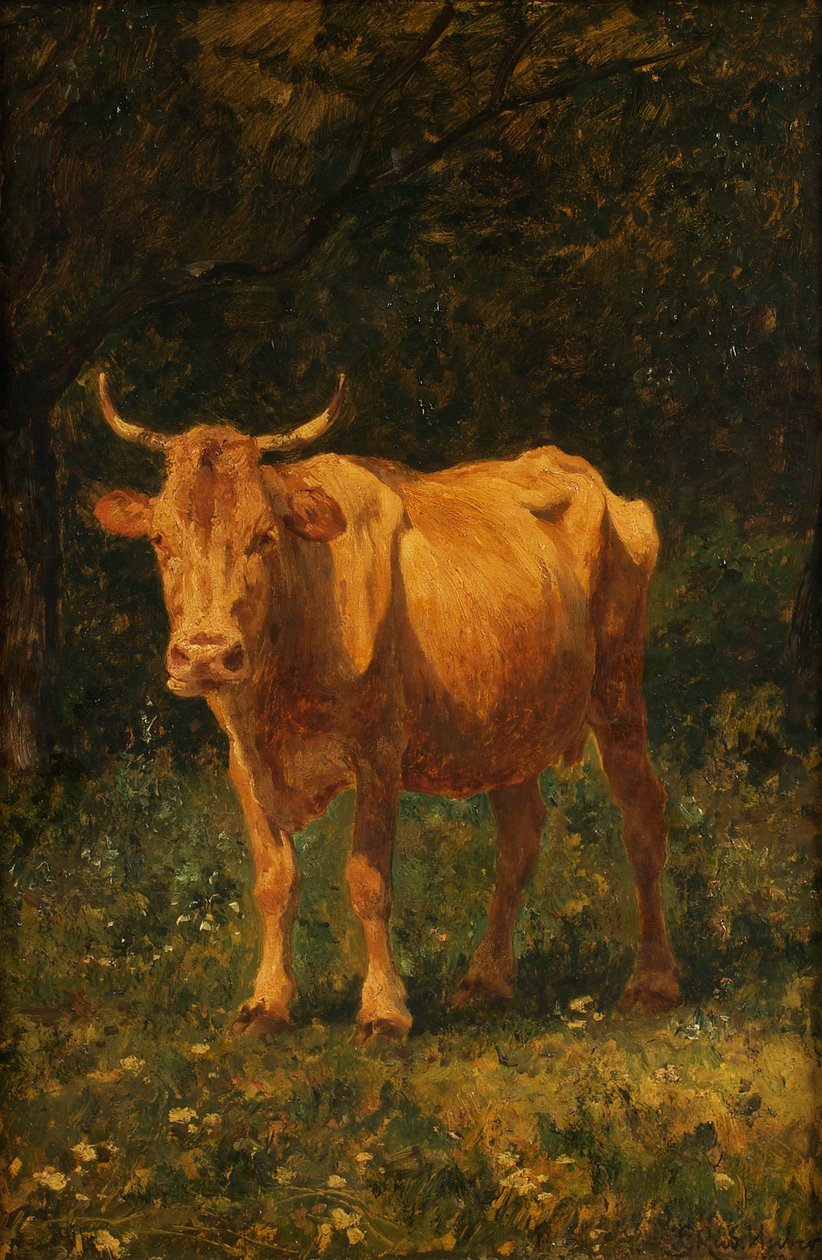 Kenyérszínű tehén alkotó: Carl Rudolf Huber