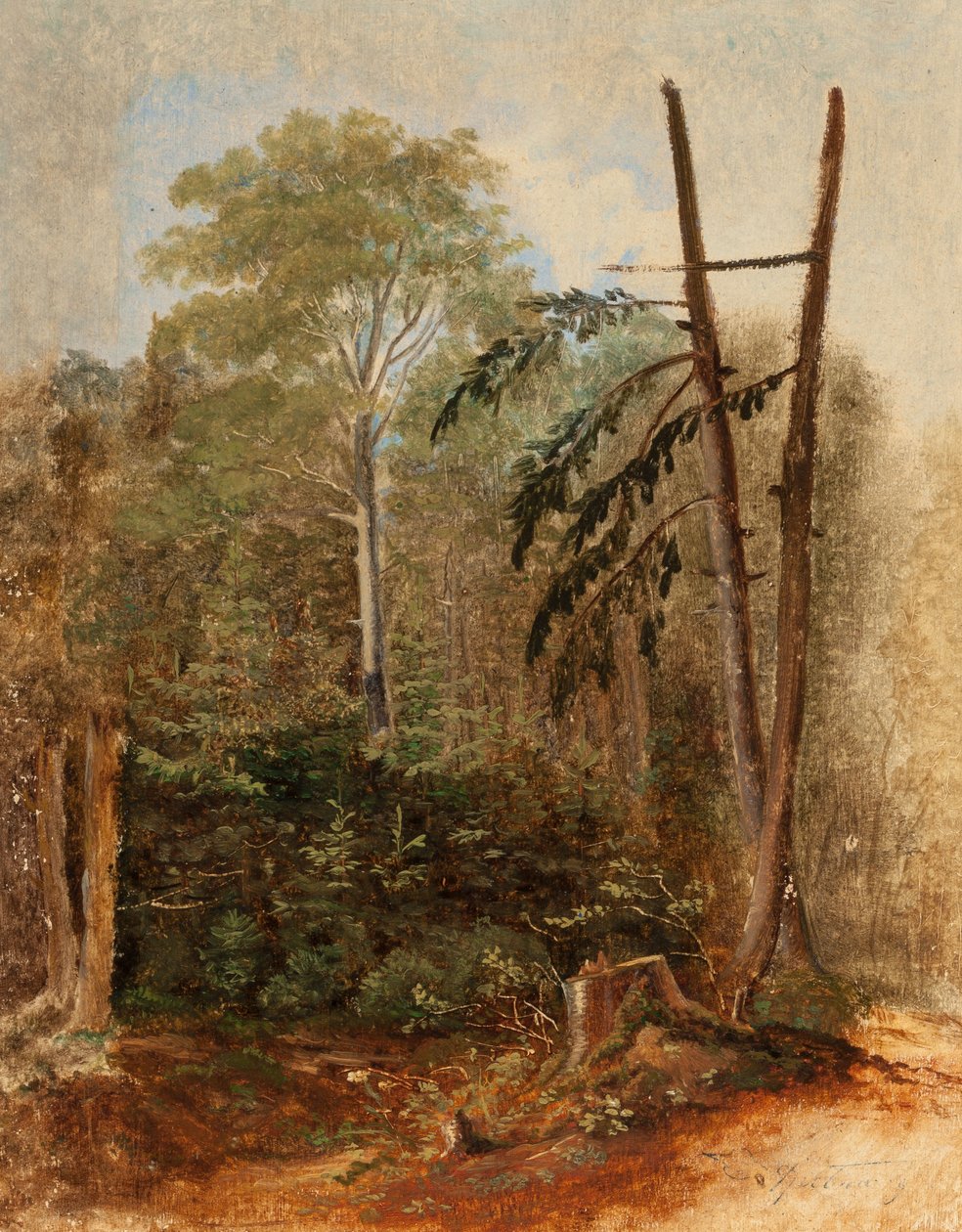 Erdészeti táj tanulmányozása alkotó: Carl Spitzweg