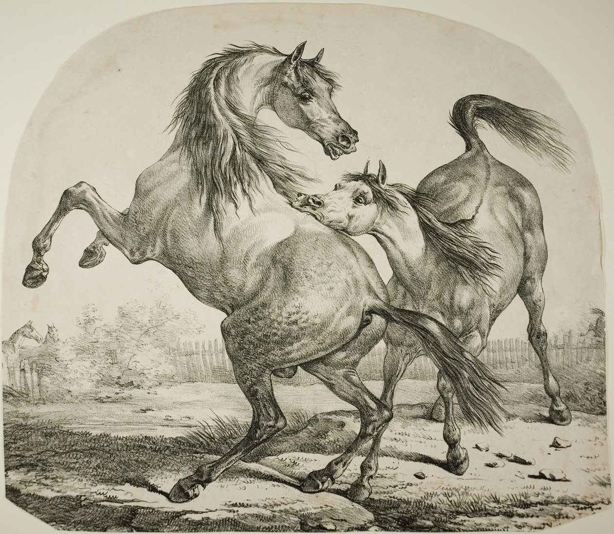 Vadlovak harca alkotó: Carle Vernet