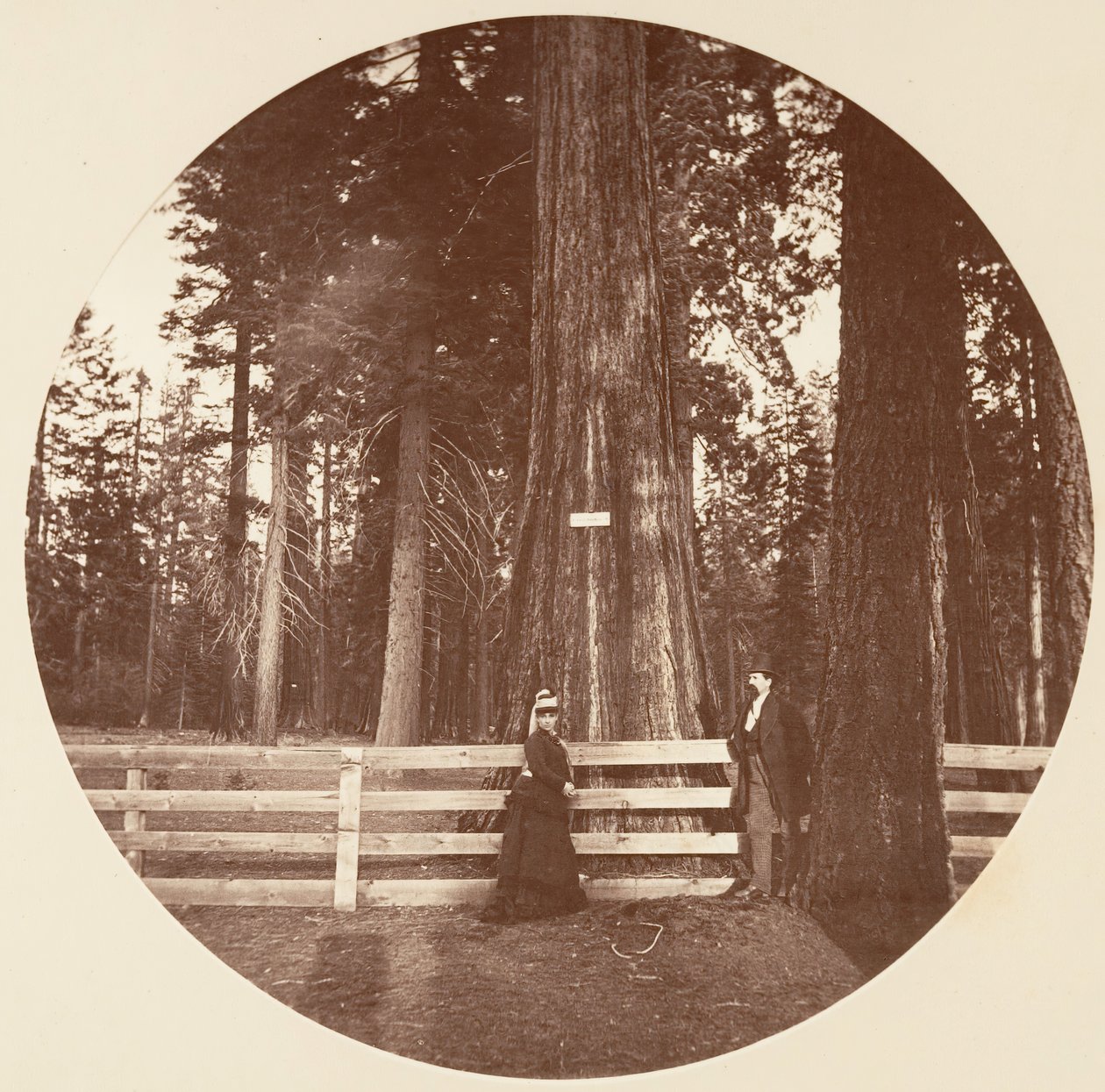 Auld Reckie. C. Grove, kb. 1878. alkotó: Carleton Emmons Watkins