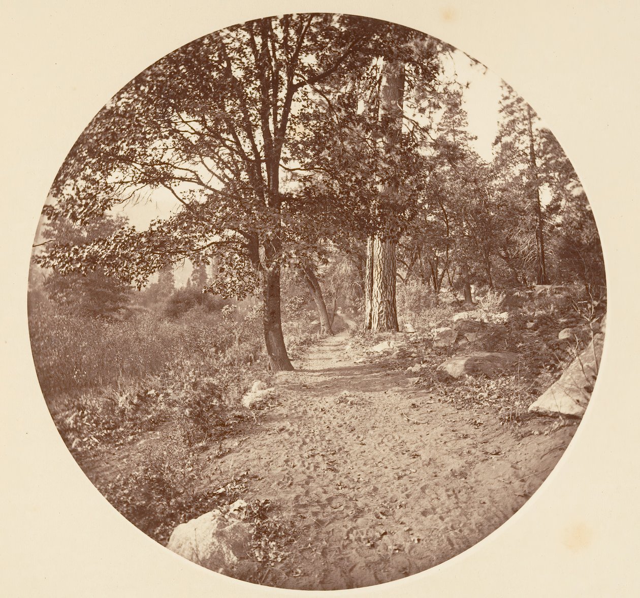A Yosemite-völgyben kb. 1878. alkotó: Carleton Emmons Watkins