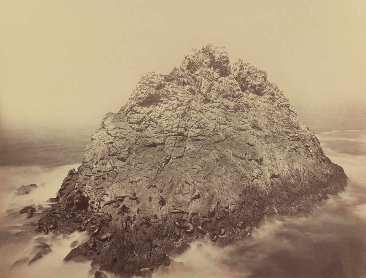 Sugar Loaf Island, Farallons,1868/1869 (fénykép) alkotó: Carleton Emmons Watkins