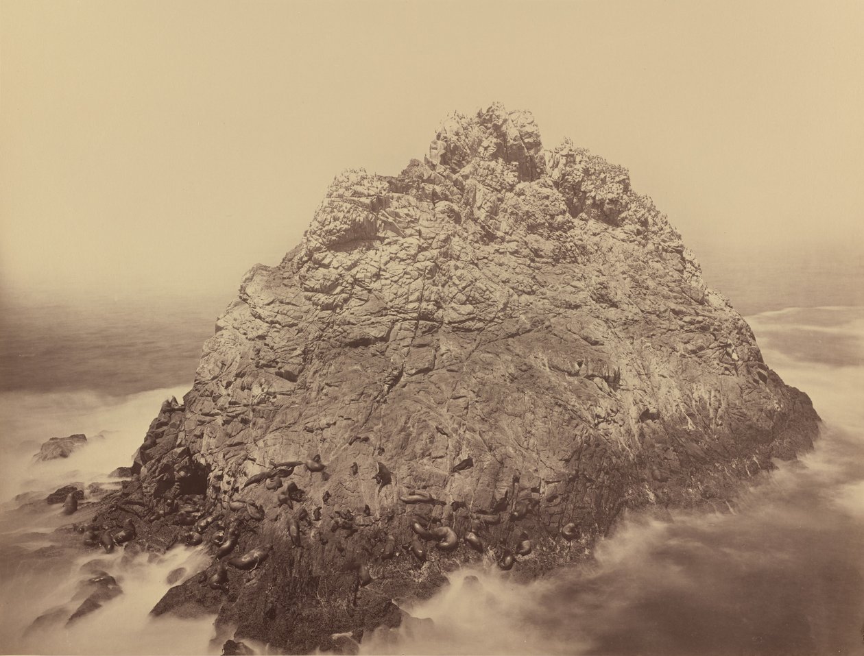 Sugar Loaf Island, Farallons, 18681869. alkotó: Carleton Emmons Watkins