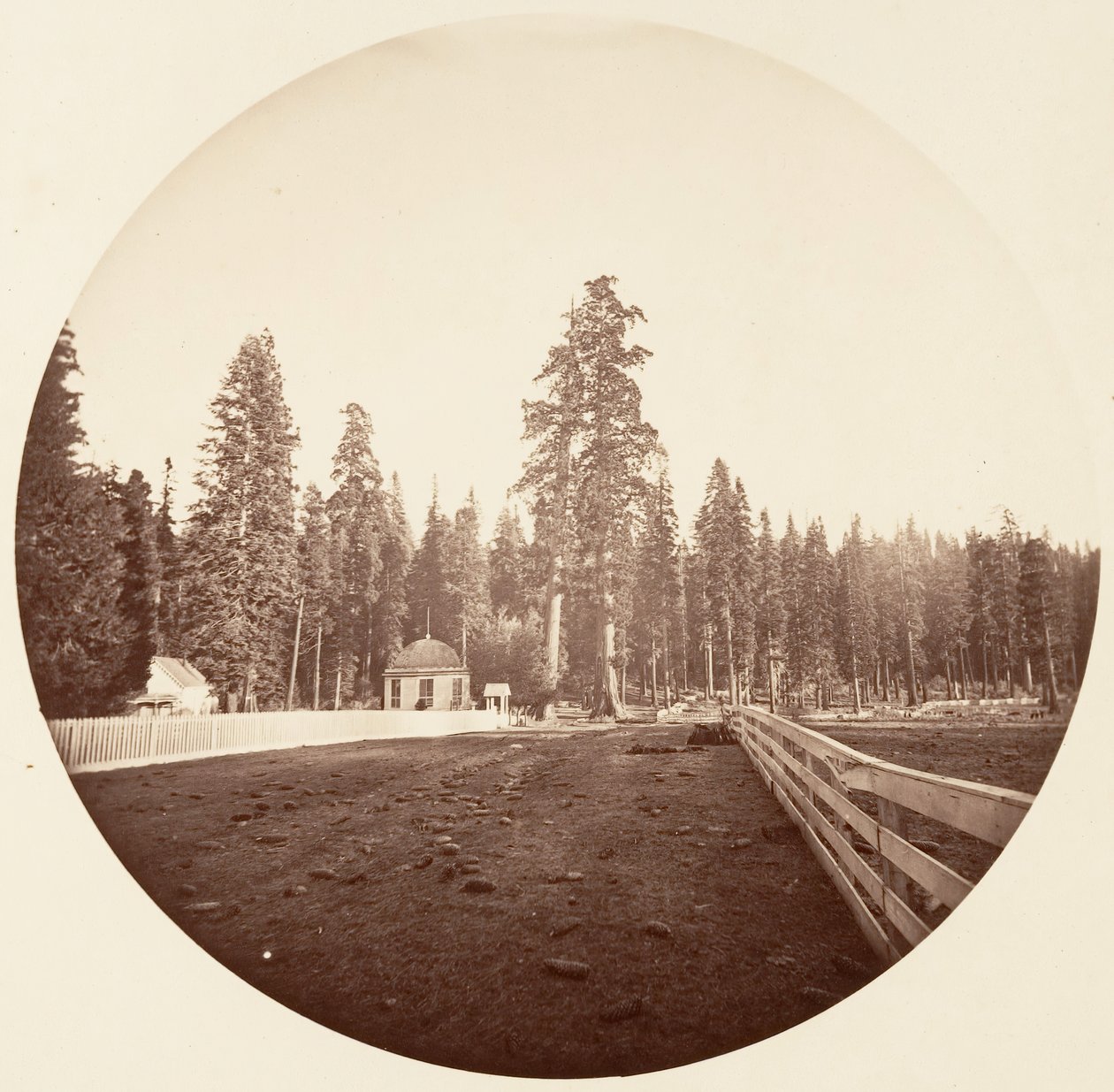 A Sentinelek. C. Grove, kb. 1878. alkotó: Carleton Emmons Watkins