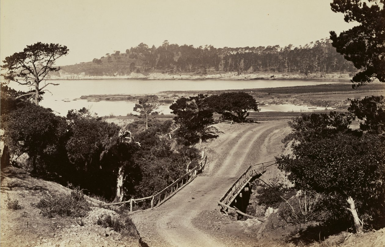 [Tengerparti kilátás Monterey közelében] alkotó: Carleton Watkins