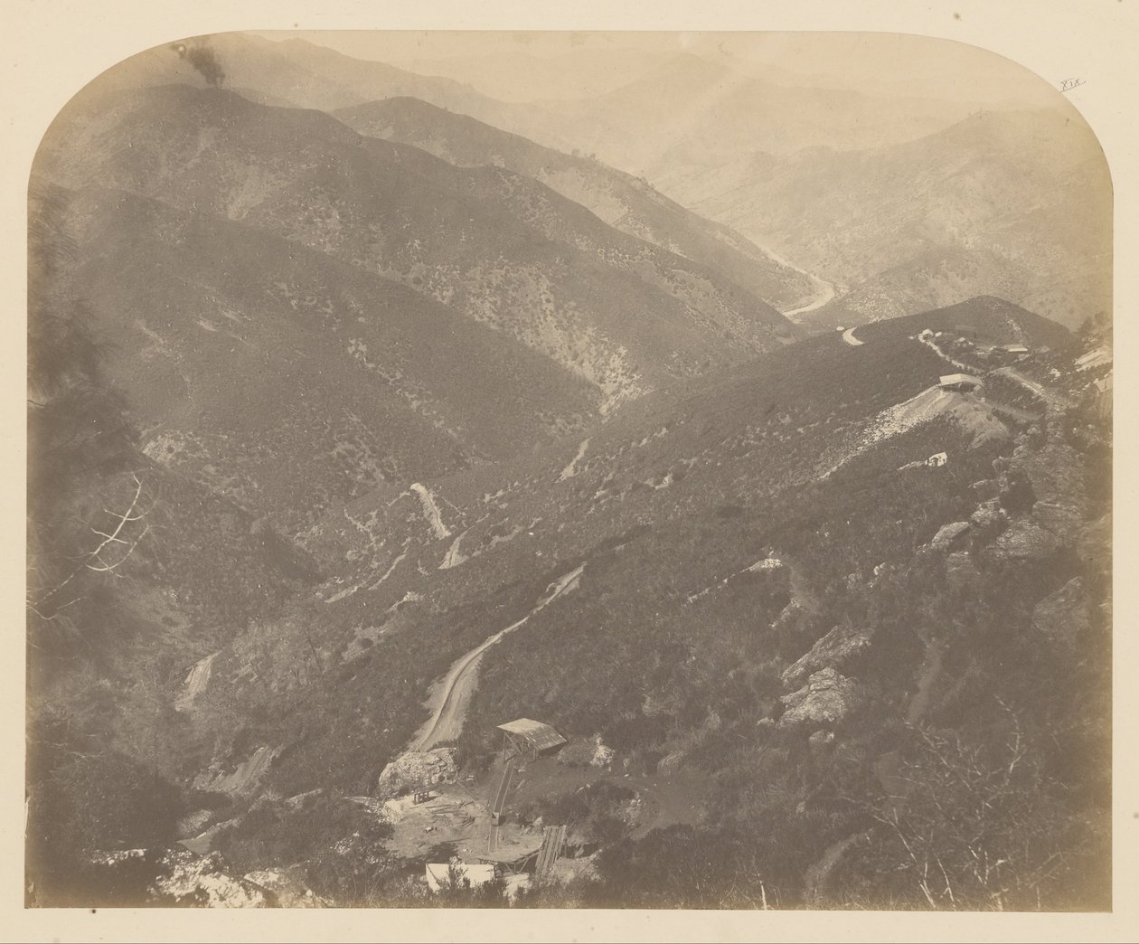 Josephine és a fenyőfa alkotó: Carleton Watkins