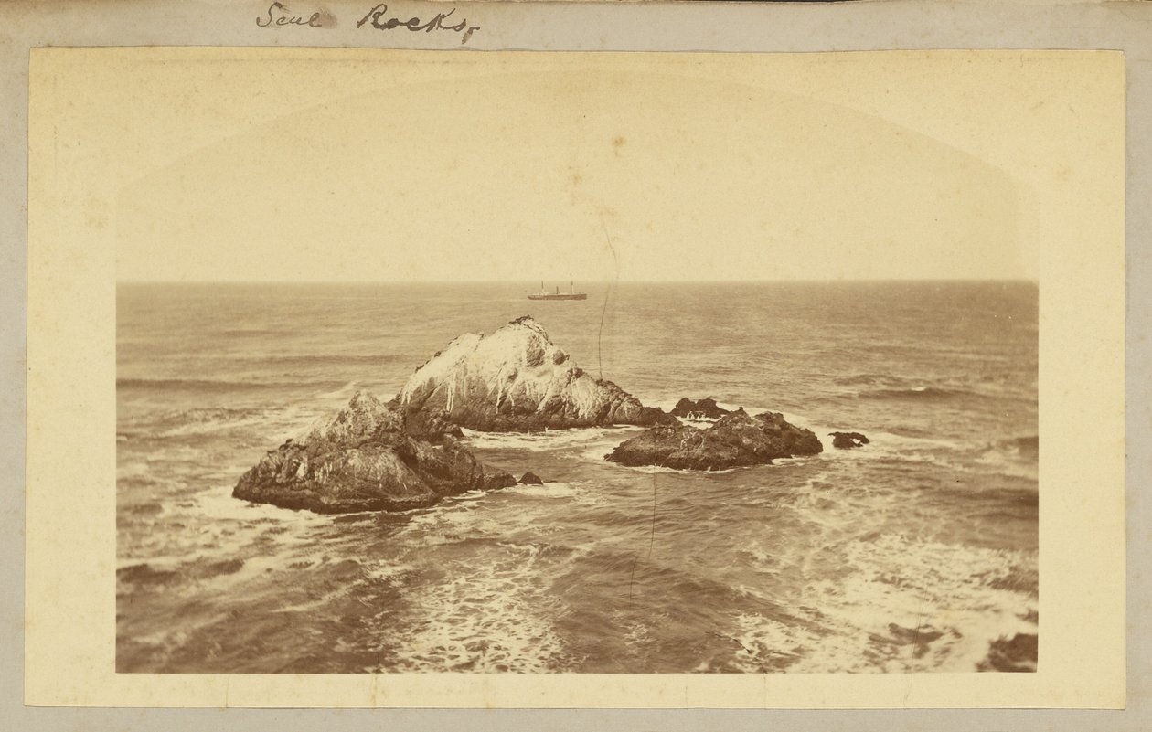 Seal Rocks. alkotó: Carleton Watkins