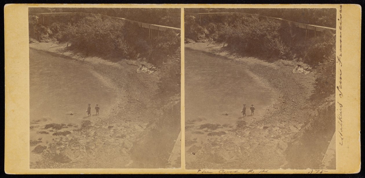 The Cove, S.F alkotó: Carleton Watkins