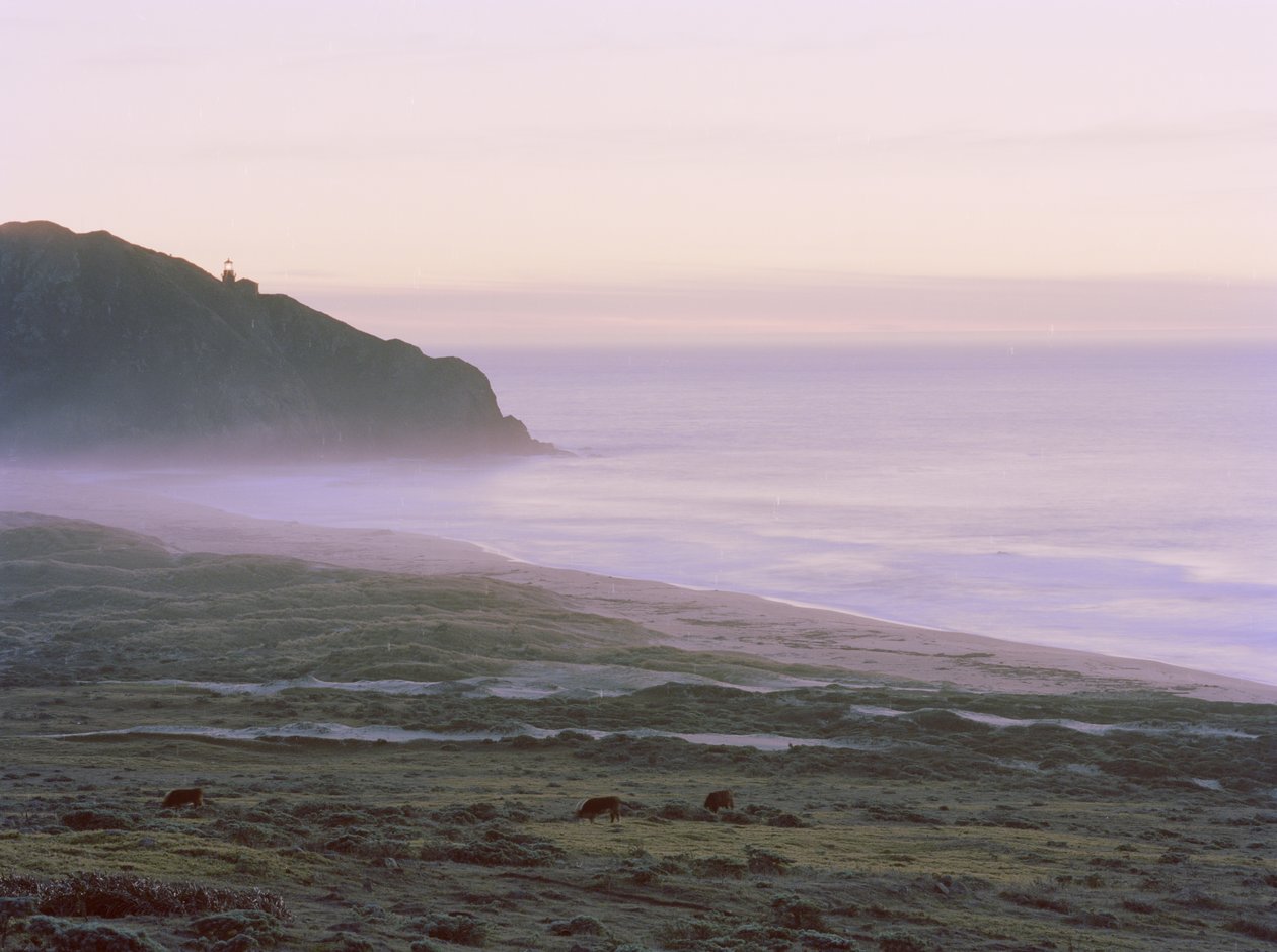 Big Sur, 2014 alkotó: Carli Choi