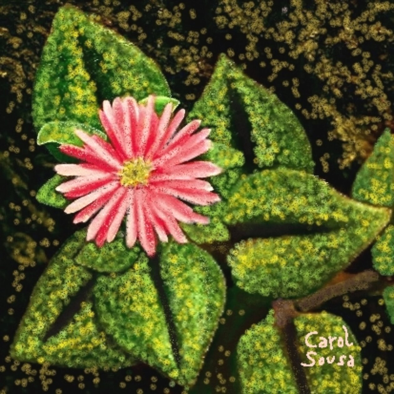 Flor silvestre alkotó: Carol Sousa Cuello