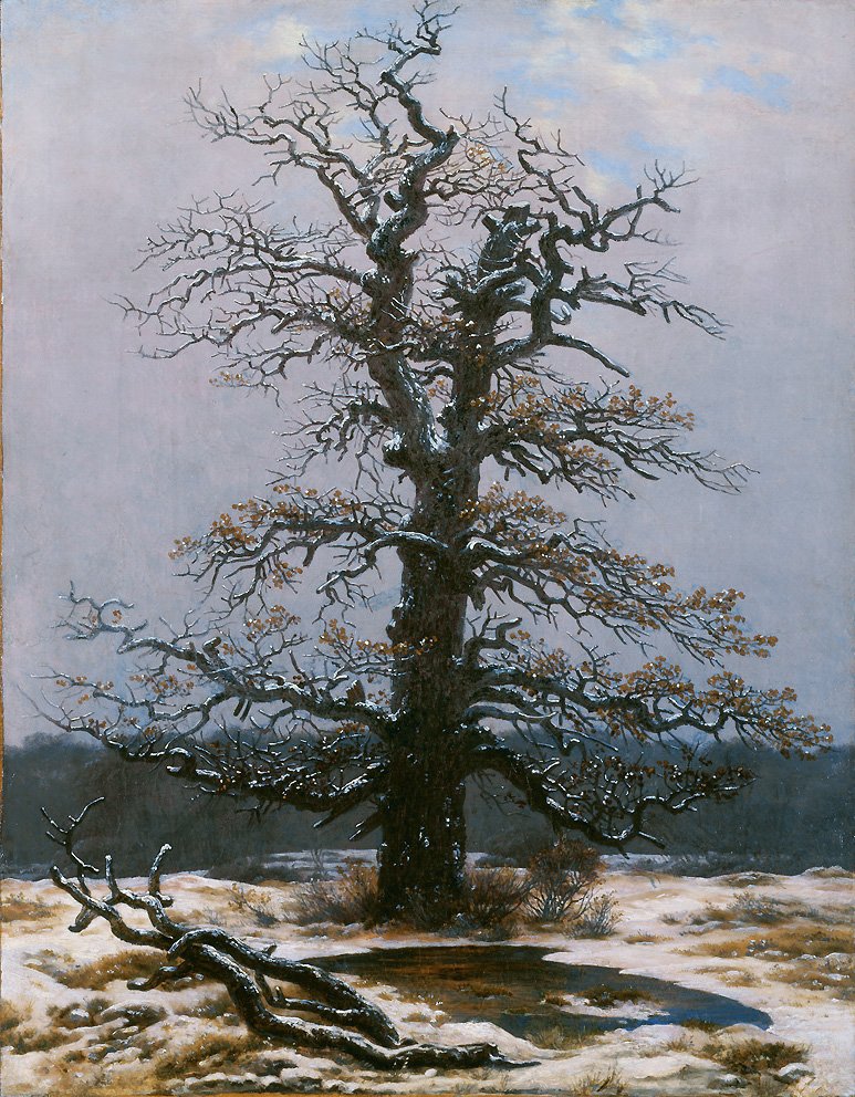 Tölgy a hóban alkotó: Caspar David Friedrich