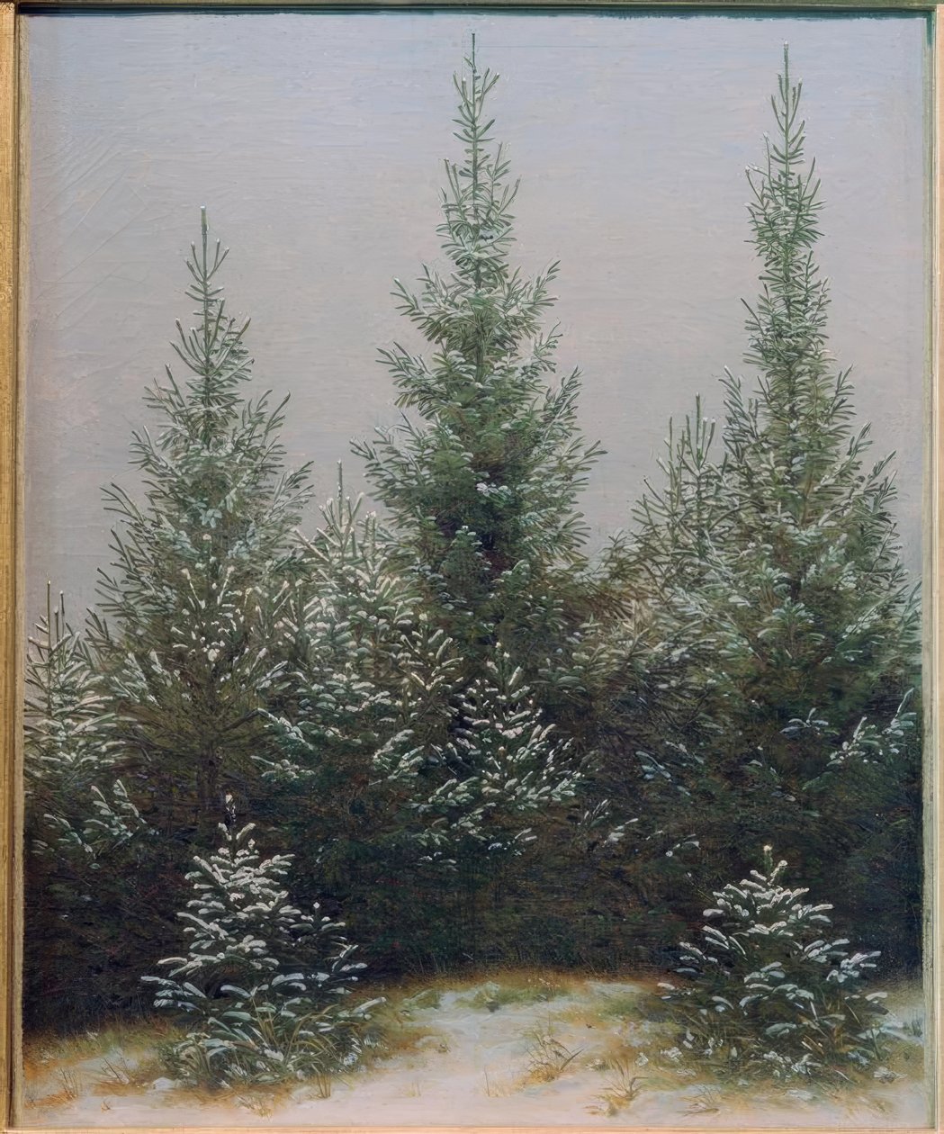 Lucfenyő bozót a hóban alkotó: Caspar David Friedrich