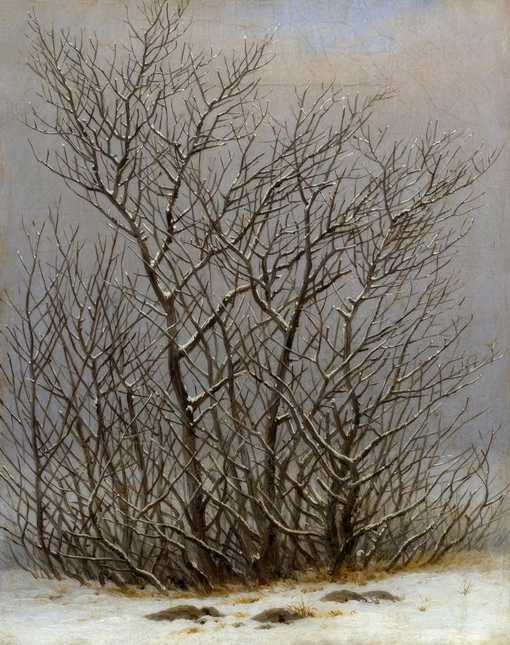 Bokrok a hóban alkotó: Caspar David Friedrich