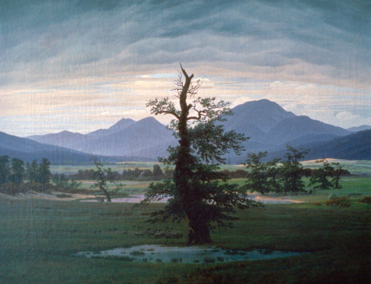 A magányos fa, 1823 alkotó: Caspar David Friedrich