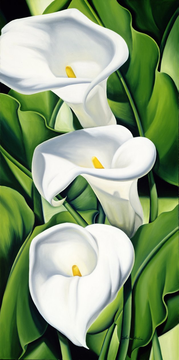 Liliomok alkotó: Catherine Abel