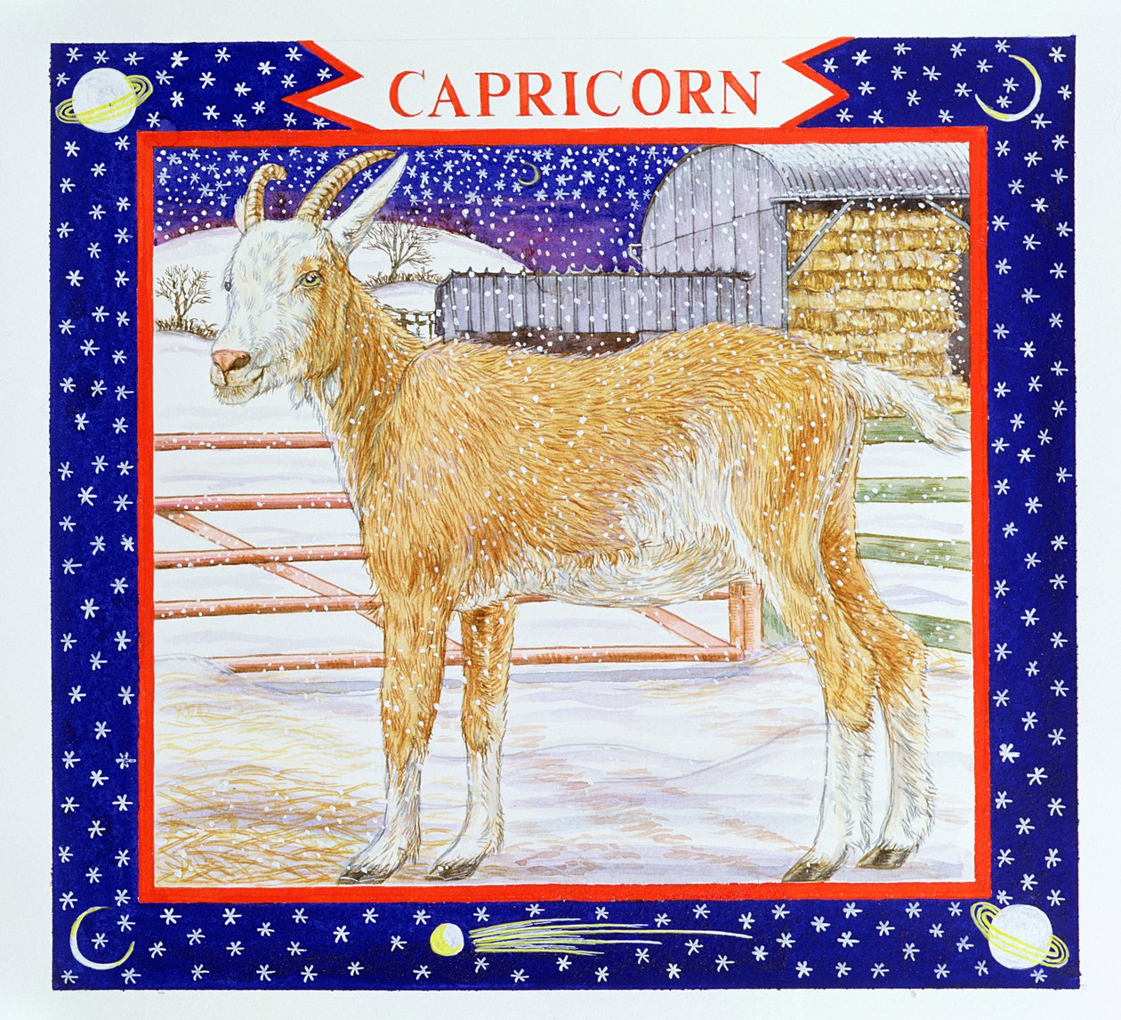Bak (wc papíron) alkotó: Catherine Bradbury