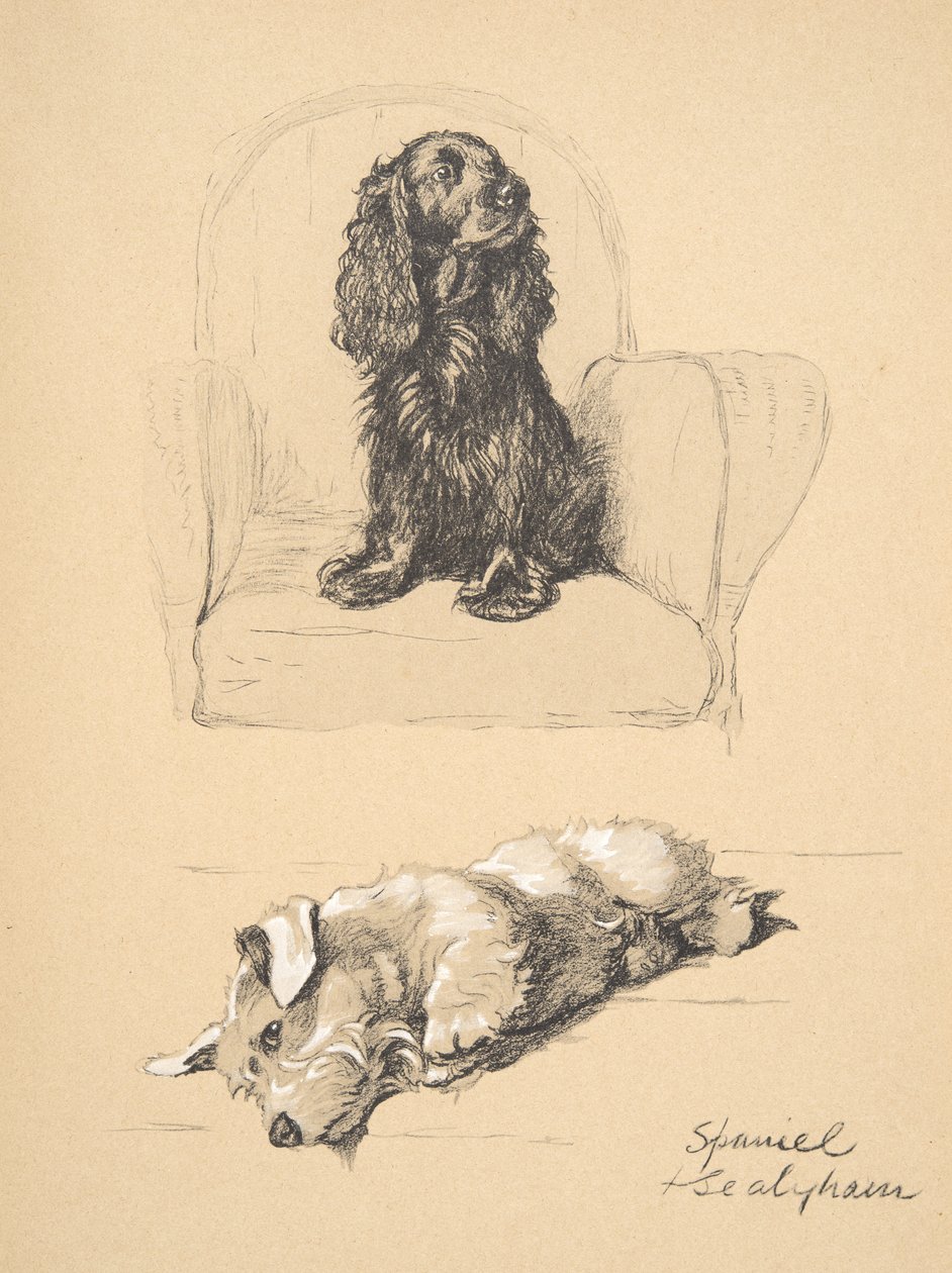 Spániel és Sealyham, 1930, Illusztrációk a „Csak a barátok között” című vázlatfüzetéből, Aldin, Cecil Charles Windsor (1870-1935), később kiadó: Eyre and Spottiswoode Limited, 1934, Chalk an alkotó: Cecil Charles Windsor Aldin